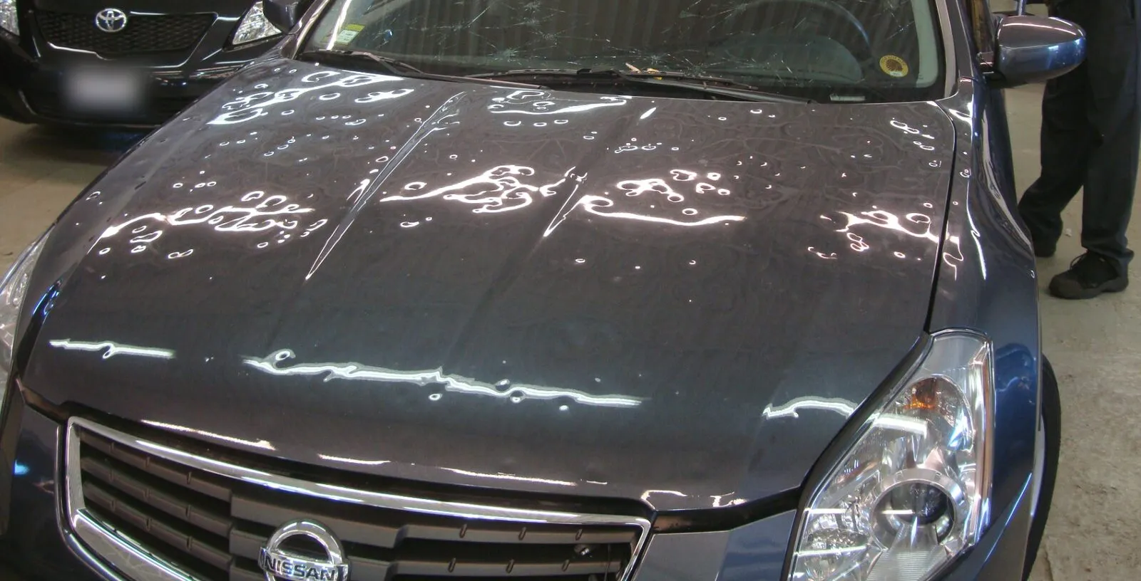 A hail-damaged bonnet before repair: the reflected workshop lights break up at hundreds of dents.